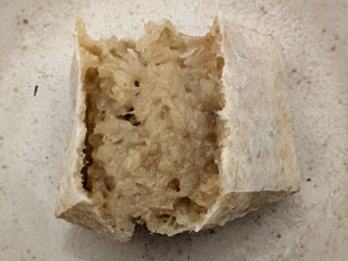 久比岐もち玄米 焼いた餅を割ってみる